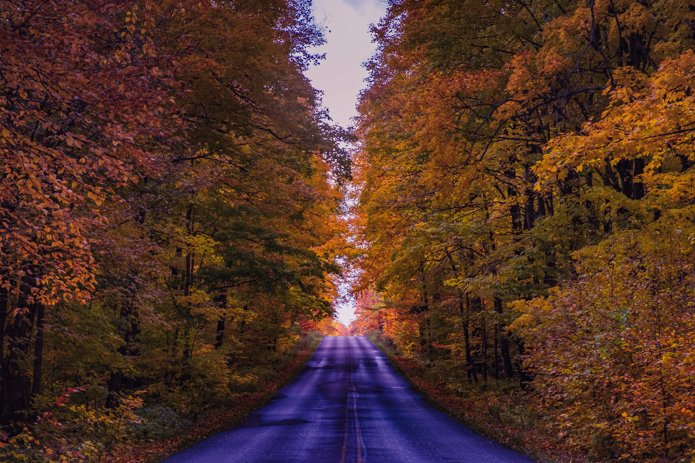 Autumn in the UP
